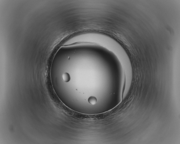 X0000113300544200910051044