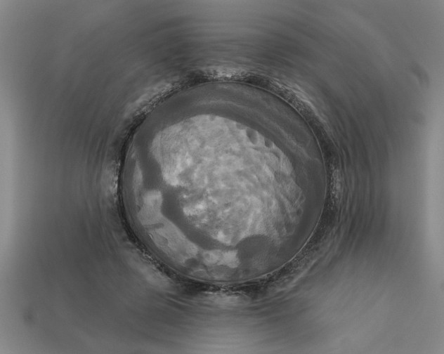 X0000113300545200910051044