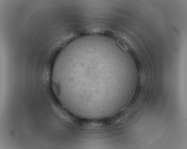 X0000113300546200910051044