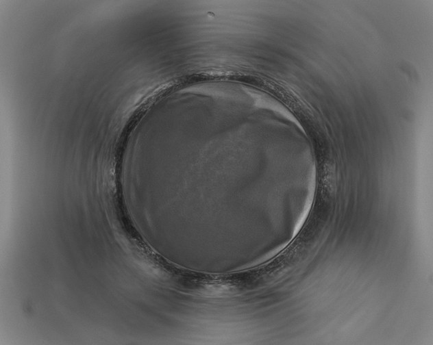 X0000113300547200910051044