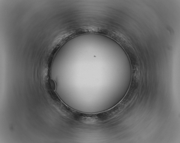 X0000113300548200910051044