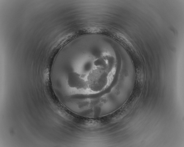 X0000113300549200910051044