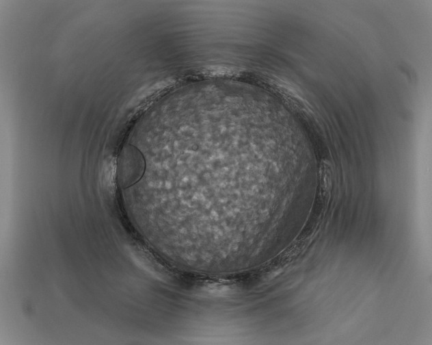 X0000113300550200910051044