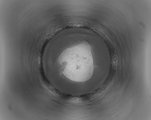 X0000113300551200910051044