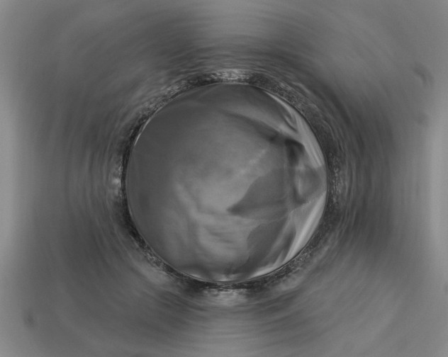 X0000113300553200910051044