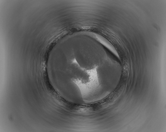 X0000113300555200910051044