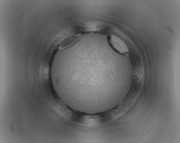 X0000113300556200910051044