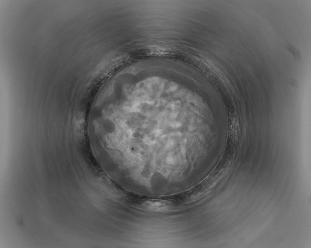 X0000113300557200910051044