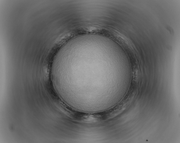 X0000113300558200910051044