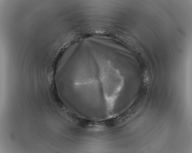 X0000113300559200910051044