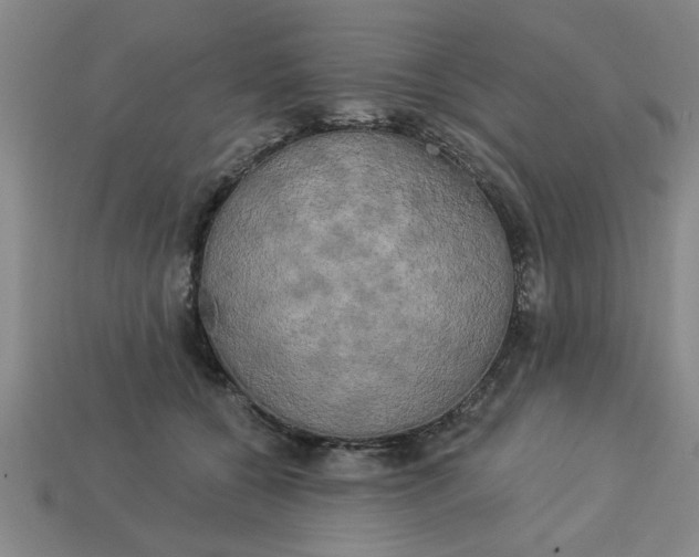 X0000113300560200910051044