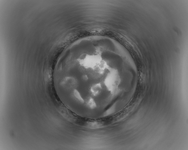 X0000113300561200910051044