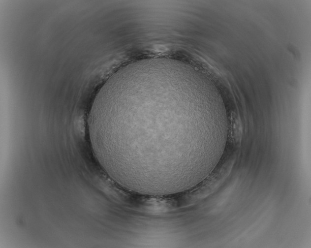 X0000113300562200910051044