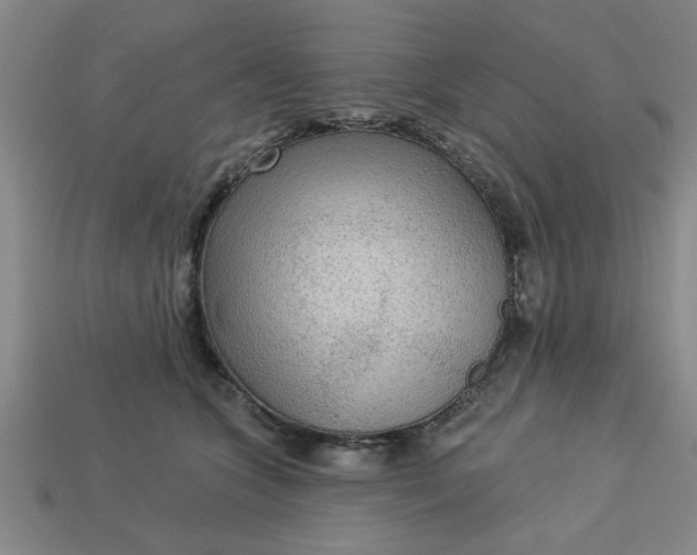 X0000113300563200910051044