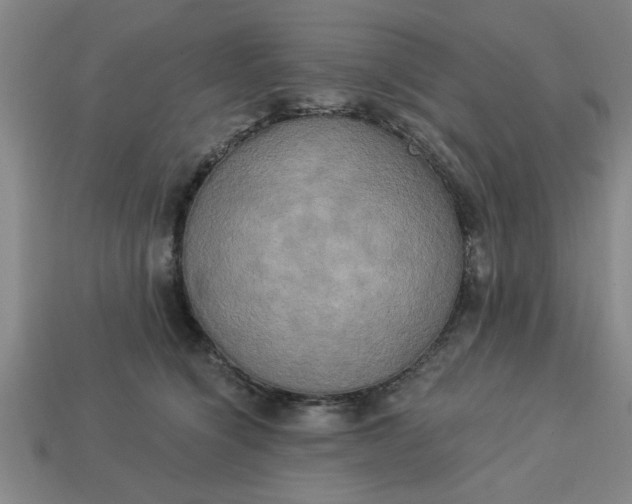 X0000113300564200910051044