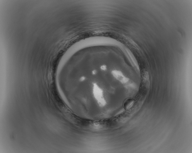 X0000113300565200910051044