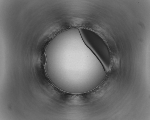 X0000113300566200910051044