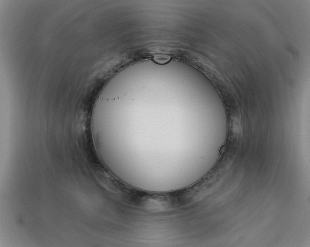 X0000113300567200910051044