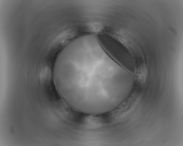 X0000113300568200910051044