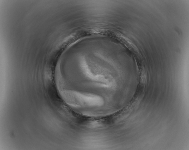 X0000113300569200910051044