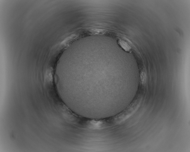 X0000113300570200910051044