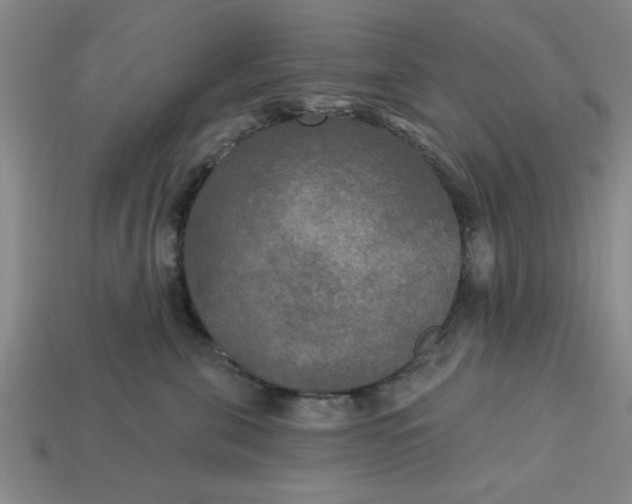 X0000113300571200910051044