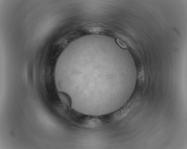 X0000113300572200910051044