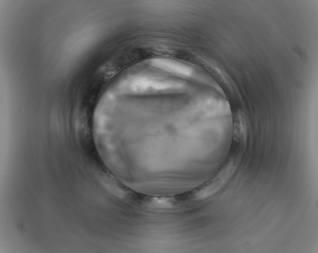 X0000113300573200910051044