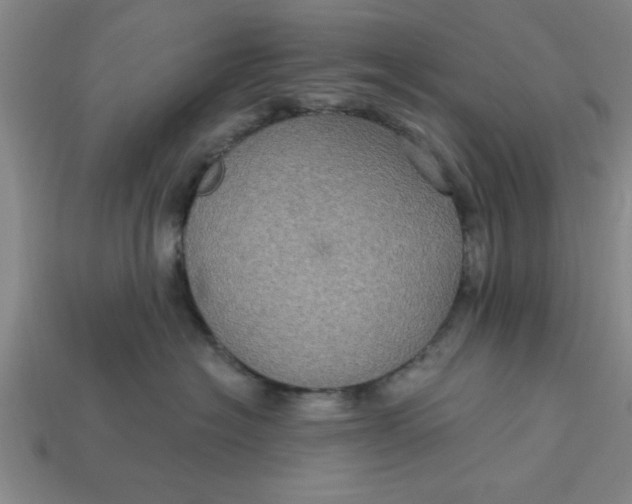 X0000113300574200910051044