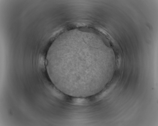X0000113300575200910051045