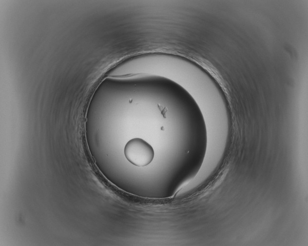 X0000113300577200910051044