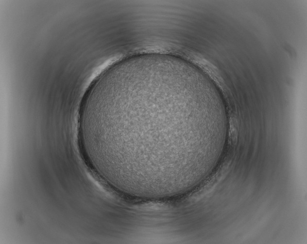 X0000113300578200910051044