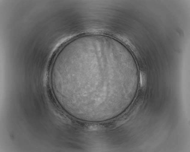 X0000113300579200910051044