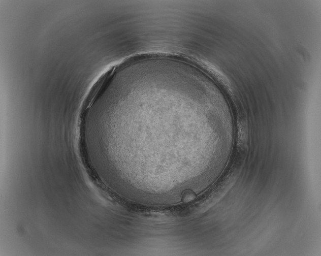 X0000113300580200910051044