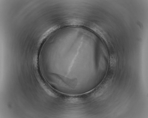 X0000113300581200910051044