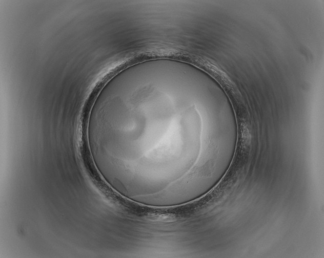 X0000113300582200910051044