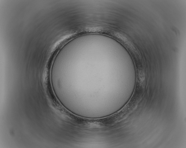 X0000113300583200910051044