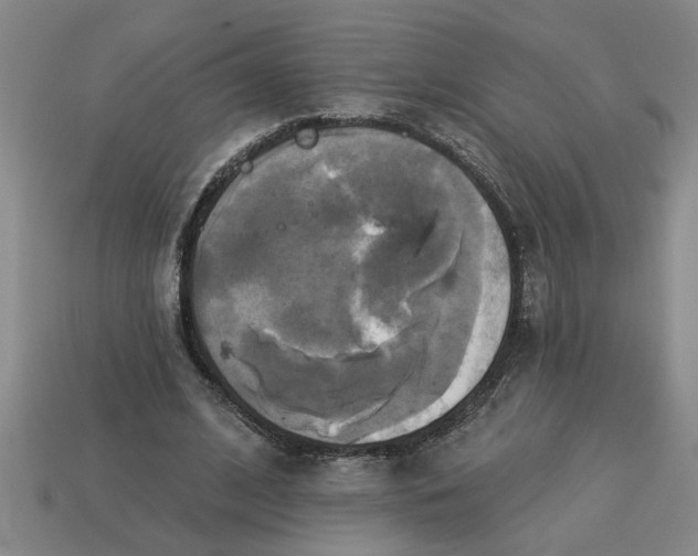 X0000113300584200910051044