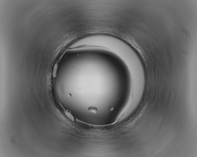 X0000113300585200910051044