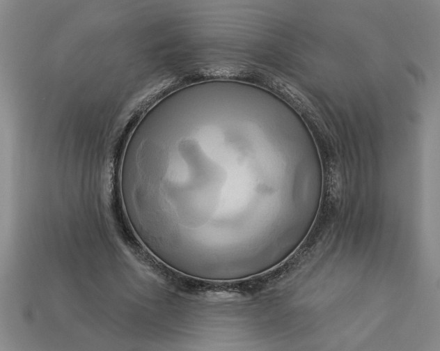 X0000113300586200910051044