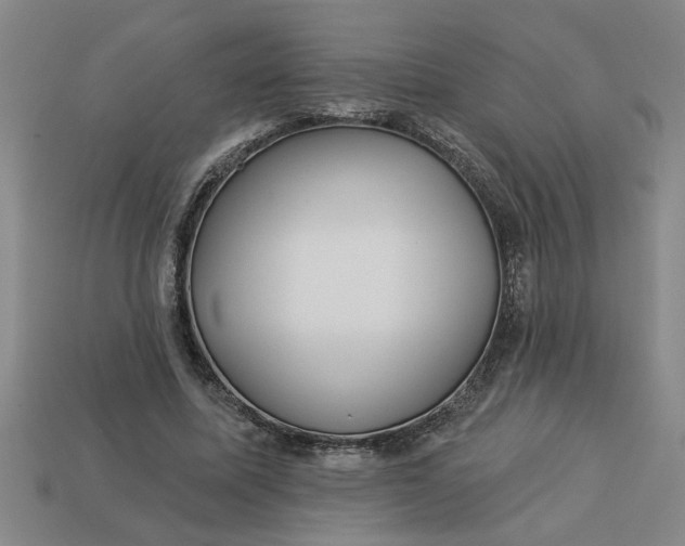 X0000113300587200910051044