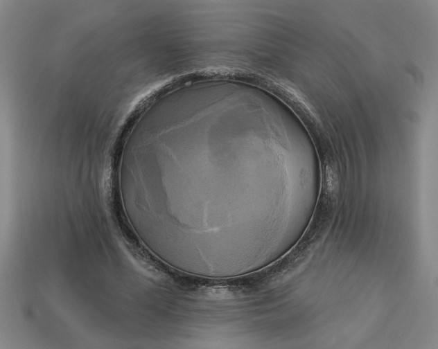 X0000113300588200910051044