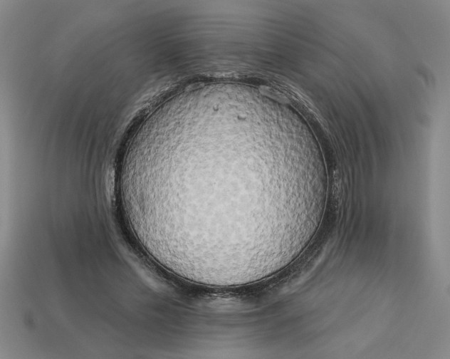 X0000113300589200910051044