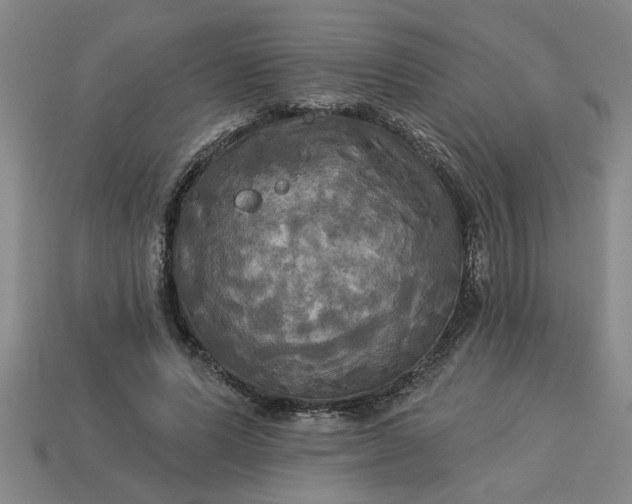 X0000113300591200910051044