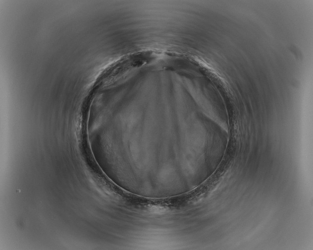 X0000113300592200910051044