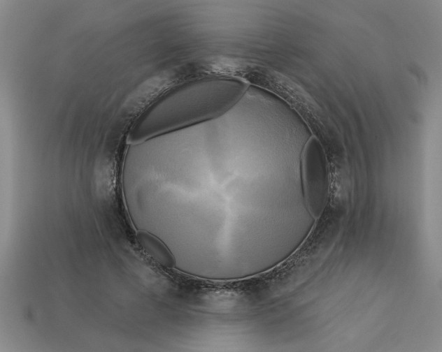 X0000113300593200910051044