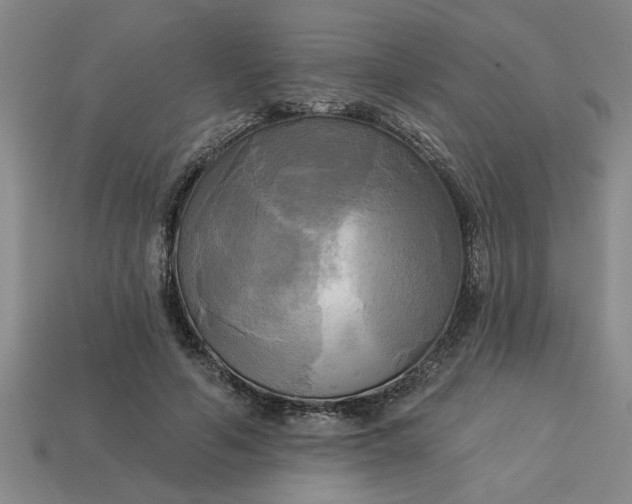 X0000113300594200910051044