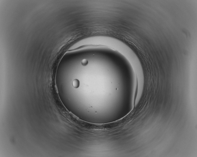 X0000113300595200910051044