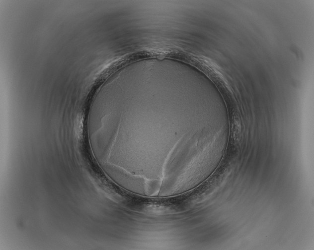 X0000113300596200910051044