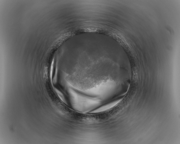 X0000113300598200910051044